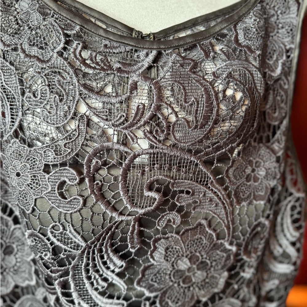 Adrianna Papell Elegant Gray Lace Dress - Picture 4 of 7